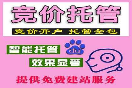 sem竞价推广托管案例：效果评估与反思
